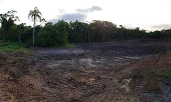Imagem 5: Terreno 10.650m2 em Araquari