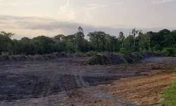 Imagem 2: Terreno 10.650m2 em Araquari