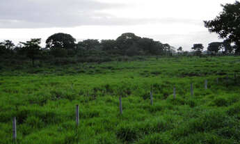 Imagem 4: Fazenda em Corumbá - MS. 20.070 hectares