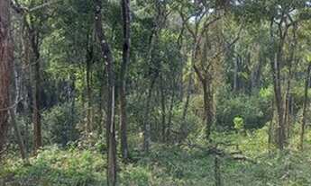 Imagem 4: Terreno para chácara , apenas 10 km do centro de Ibiuna 1IB480J
