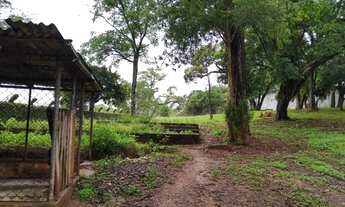 Imagem 5: Terreno à venda, 5000 m² por R$ 1.380.000,00 - Pousada dos Bandeirantes - Carapicuíba/SP