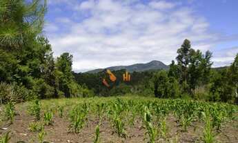 Imagem 5: Chácara com 2 dormitórios à venda, 9075 m² por R$ 870.000,00 - Florestal - Quatro Barras/P