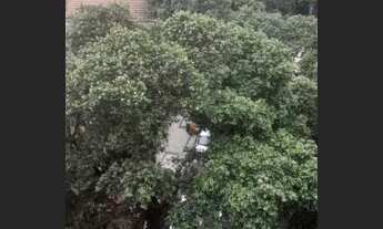 Imagem 4: Rio de Janeiro - Apartamento Padrão - Centro