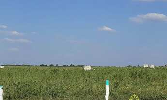 Imagem 5: Fazenda à venda, 4.800 Hectares em Goianorte/TO