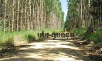 Imagem 2: Fazenda à venda, 19698800 m² por R$ 138.380.000 - Vila Nova Itapetininga - Itapetininga/SP