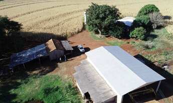 Imagem 1: 10.5 alq. Com 9.3 mecanizado em Sta Tereza