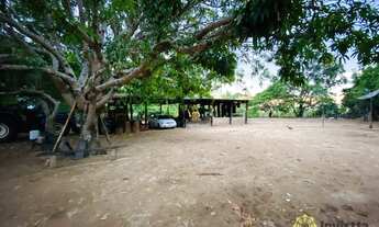 Imagem 7: Fazenda à venda 3.900 Hectares em Colinas/TO