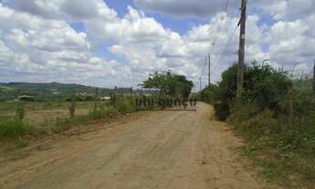 Imagem 6: Fazenda à venda, 1645600 m² por R$ 38.000.000,00 - Avecuia - Porto Feliz/SP