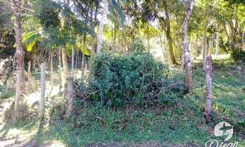 Imagem 5: Terreno à venda, 530 m² por R$ 280.000,00 - Siriú - Garopaba/SC