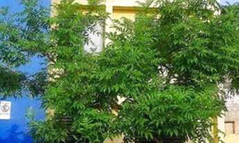 Imagem 2: Apartamento com 2 dormitórios à venda, 42 m² por R$ 202.000,00 - Campo Limpo - São Paulo/S