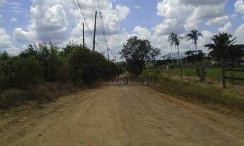 Imagem 7: Fazenda à venda, 1645600 m² por R$ 38.000.000,00 - Avecuia - Porto Feliz/SP