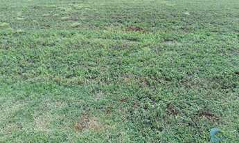 Imagem 2: Terreno à venda, 371 m² ILHA/PLANO - Quinta dos Ventos - Ribeirão Preto/SP