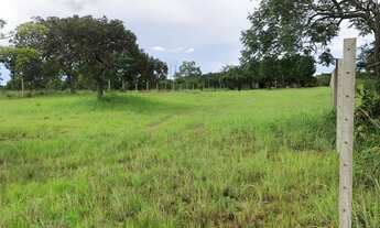 Imagem 3: Chacara individual beira lago km 17 sentido lajeado