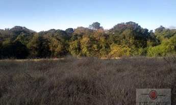 Imagem 6: Terreno à venda, 11525 m² por R$ 500.000,00 - Jardim Vital - Iperó/SP