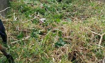 Imagem 5: Terreno à venda, 240 m² por R$ 288.000,00 - Vila Santa Teresinha - Itaquera - São Paulo/SP