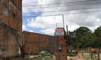 Imagem 2: Terreno em BARREIRINHAS