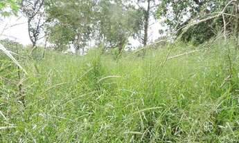 Imagem 1: Terreno à venda, 2160 m² por R$ 650.000,00 - Granja Viana - Embu das Artes/SP