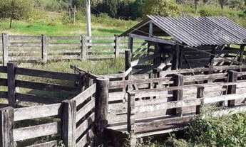 Imagem 2: Fazenda à venda, 5324000 m² por R$ 6.600.000,00 - Zona Rural - Itupiranga/PA