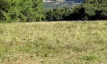 Imagem 4: Sítio em promoção, parada 79