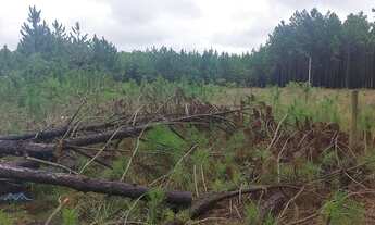 Imagem: Passo de Torres - Terreno Padrão - Sumaré