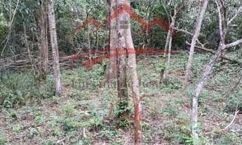 Imagem 7: Lote/Terreno para venda com 718 m² em Siriú - Garopaba - SC