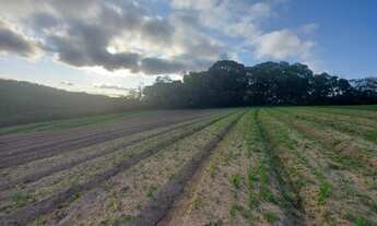 Imagem 5: Lote/Terreno para venda com 600 metros quadrados em Veloso - Osasco - SP