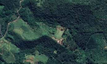 Imagem: 4 ALQUEIRES- POSSUI EUCALIPTOS- MARMELÓPOLIS