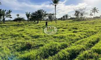 Imagem 4: Fazenda para pecuária a venda em Santana do Araguaia- TO