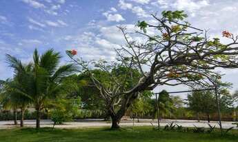 Imagem: Granja em Pium