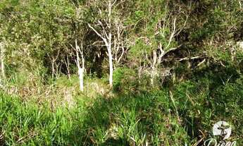 Imagem: Grande terreno próximo a Praia do Rosa