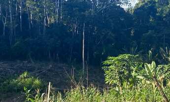 Imagem 5: Vende se chácara 9,5 Hectares