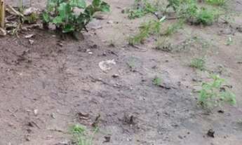 Imagem: Vendo um Lote 10 mil