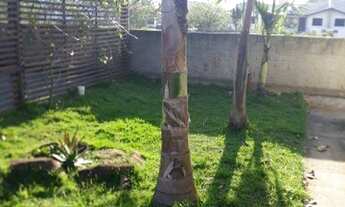 Imagem 4: Casa com 2 dormitórios à venda, 52 m² por R$ 300.000,00 - Campo D'una - Garopaba/SC