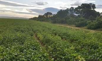Imagem 2: Fazenda à venda, 2.130 Hectares em Colinas do Tocantins/TO