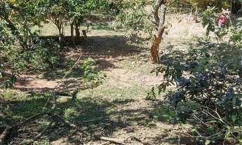 Imagem 4: Lote de terreno Terreno / lote com venda por R$10.000