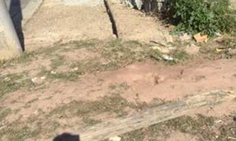 Imagem 6: Terrenos para venda