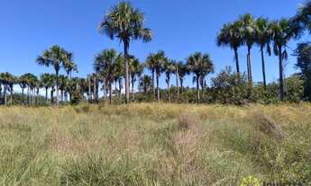 Imagem 4: Fazenda à venda, 3.280 Hectares em Lagoa do Tocantins