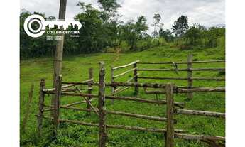 Imagem: Chácara a venda em JACUPIRANGA