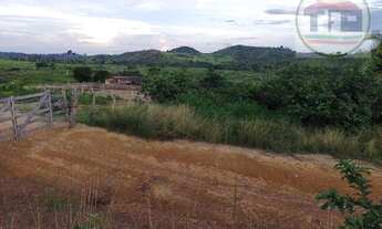 Imagem 5: Fazenda à venda, 600 alqueires, por R$ 30.000.000 4.334255, -49.798835 - Novo Repartime