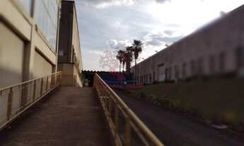 Imagem 7: Galpão comercial