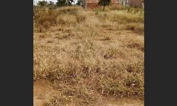 Imagem 4: Lote de 300m² na 26 de Setembro Rua 5