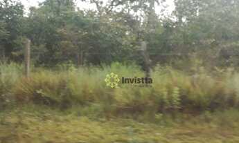 Imagem 5: Fazenda à venda, 720 Hectares em Abreulândia do Tocantins