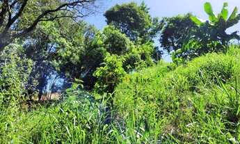 Imagem 7: Vendido por Kelly Lins Consultoria Imobiliária Creci212.178F