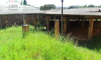 Imagem 7: ÁREA PRA CONSTRUÇÃO DE GALPÃO - 17000M²