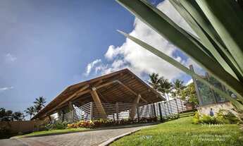 Imagem 3: Lote de 360 m² à venda em Pium/RN - Litoral Sul