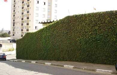 Imagem 7: GALPÂO PARA LOCAÇÂO, 548 m² - Vila do Encontro - São Paulo/SP - GA0037