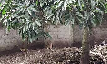 Imagem 5: Chacara em Nova Almeida