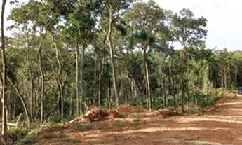 Imagem: Terrenos em Ibiuna 1U4DNVD