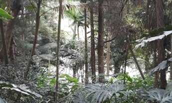 Imagem 2: Excelente Terreno em Condomínio na Região de Diadema com Santo Amaro