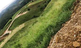 Imagem: Lotes para você de Mairiporã